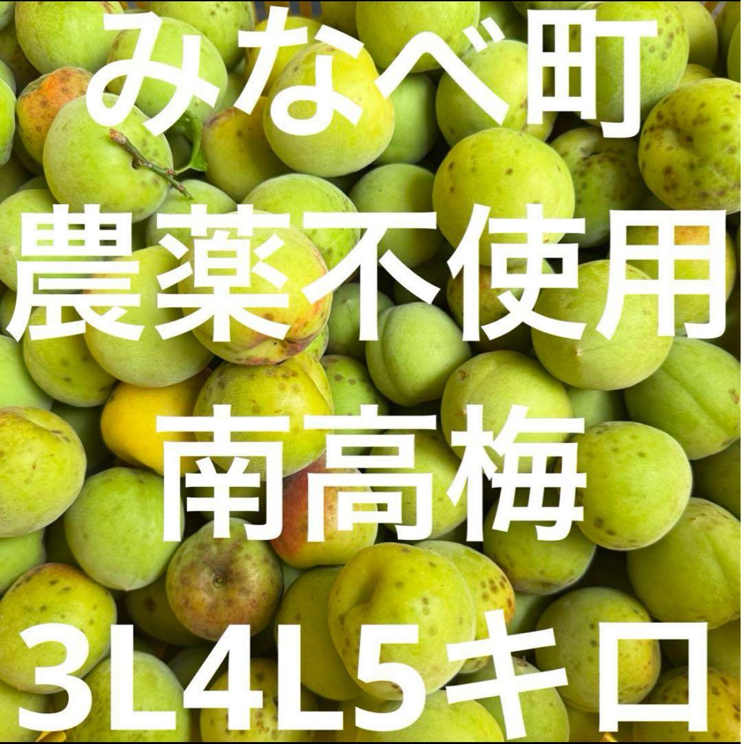 和歌山県みなべ町 「農薬不使用」南高梅 3L4L約5キロ