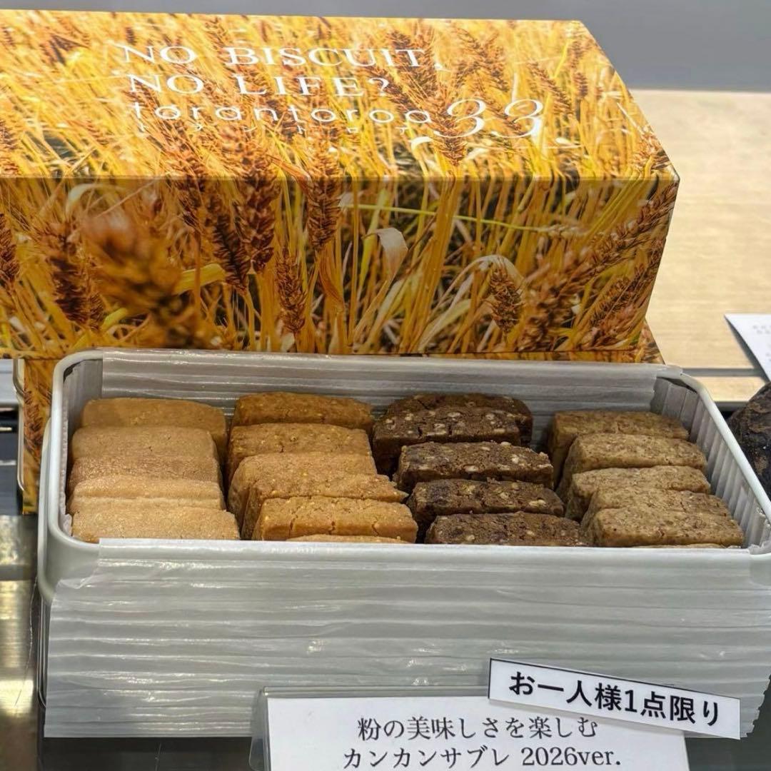 torantoroa 33 トラントロア カンカンサブレ2026 サロショ