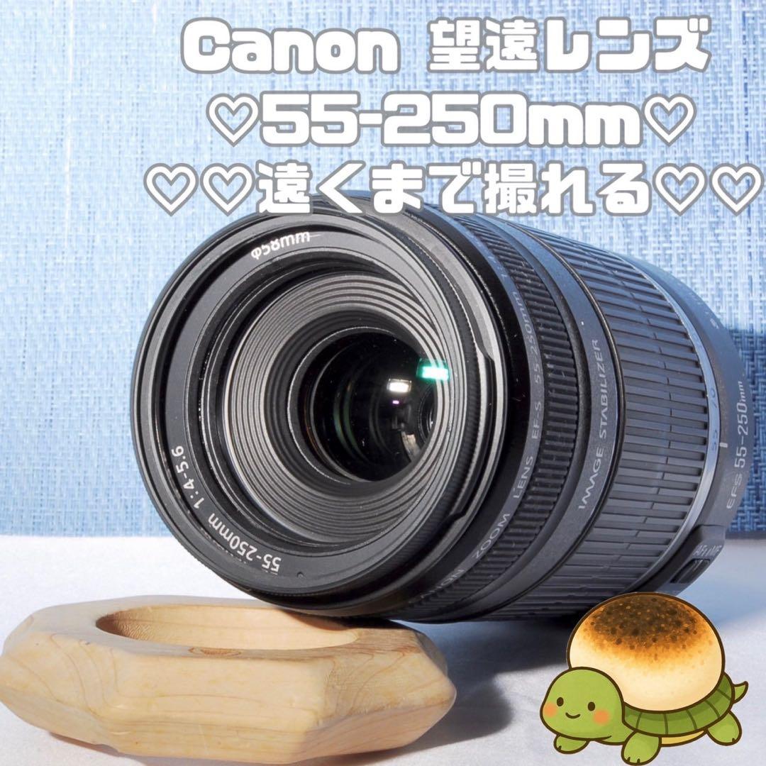 ⭐️超美品‼⭐️ キャノン EF-S 55-250mm F4-5.6 IS