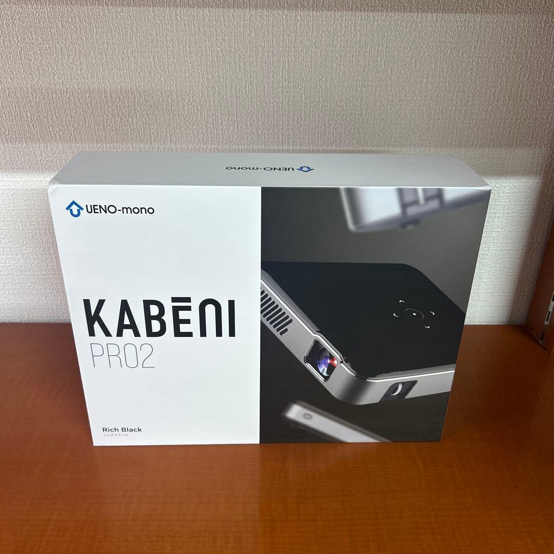 UENO-mono KABENI PRO2 本体 カベーニプロ2