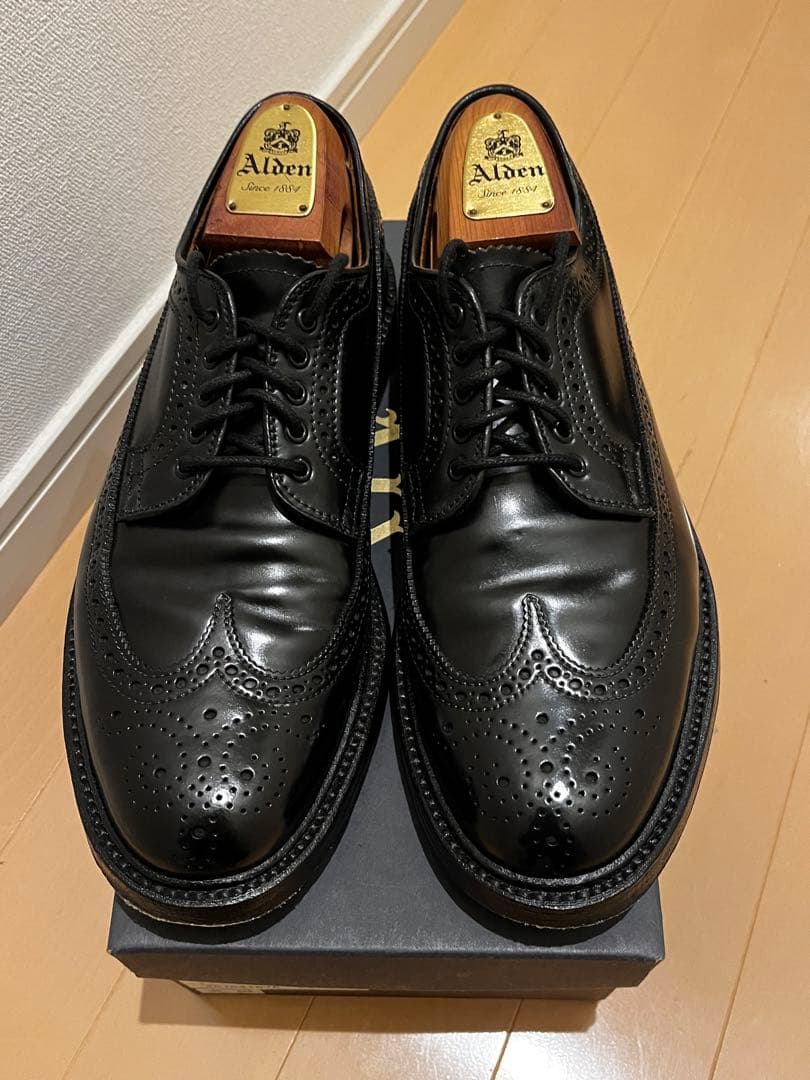 Alden コードバン ロングウイングチップ 8D