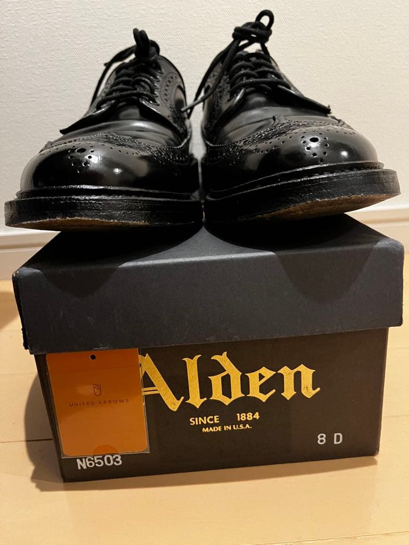 Alden コードバン ロングウイングチップ 8D