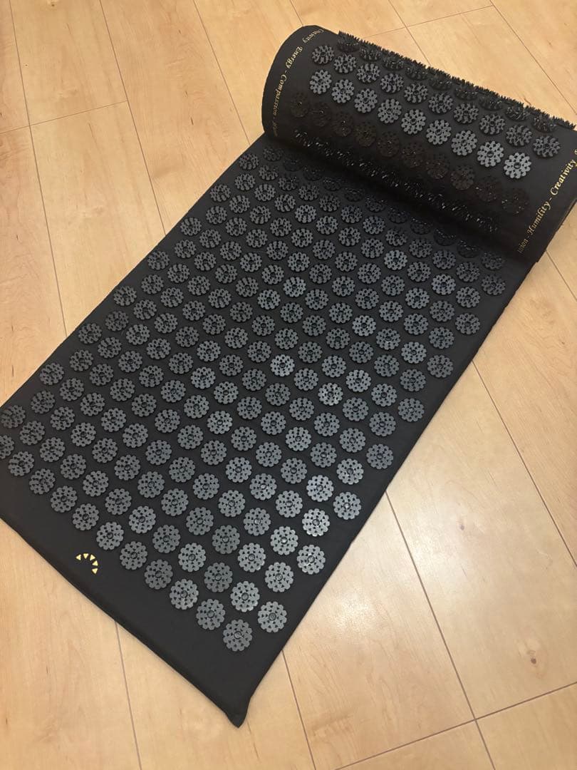 【美品正規品 箱・説明書付】究極のシャクティセット 黒 レベル2（中強度）