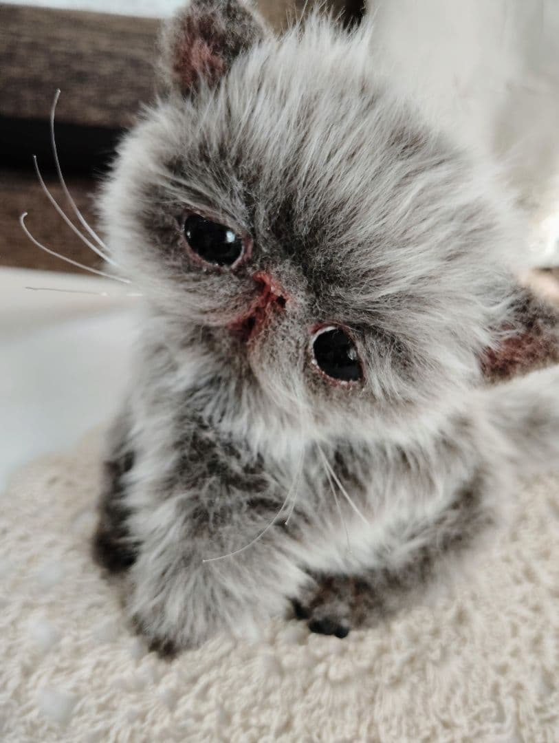 ミルクラテカラー♡子猫のミラちゃん♡エキゾチック♡アートドール♡ぬいぐるみ♡