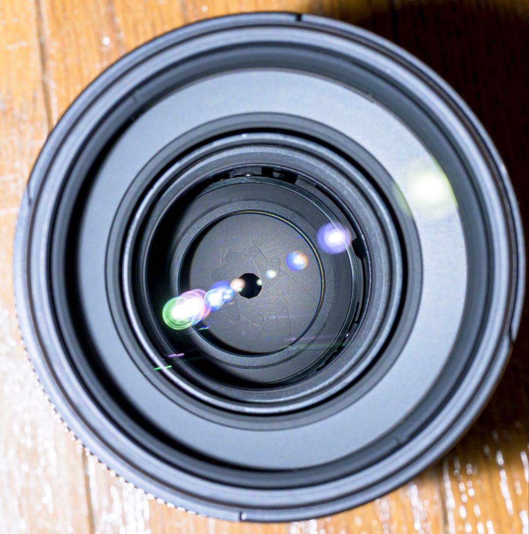 NIKKOR Z 70-200mm f/2.8 VR S ニコン　Nikon