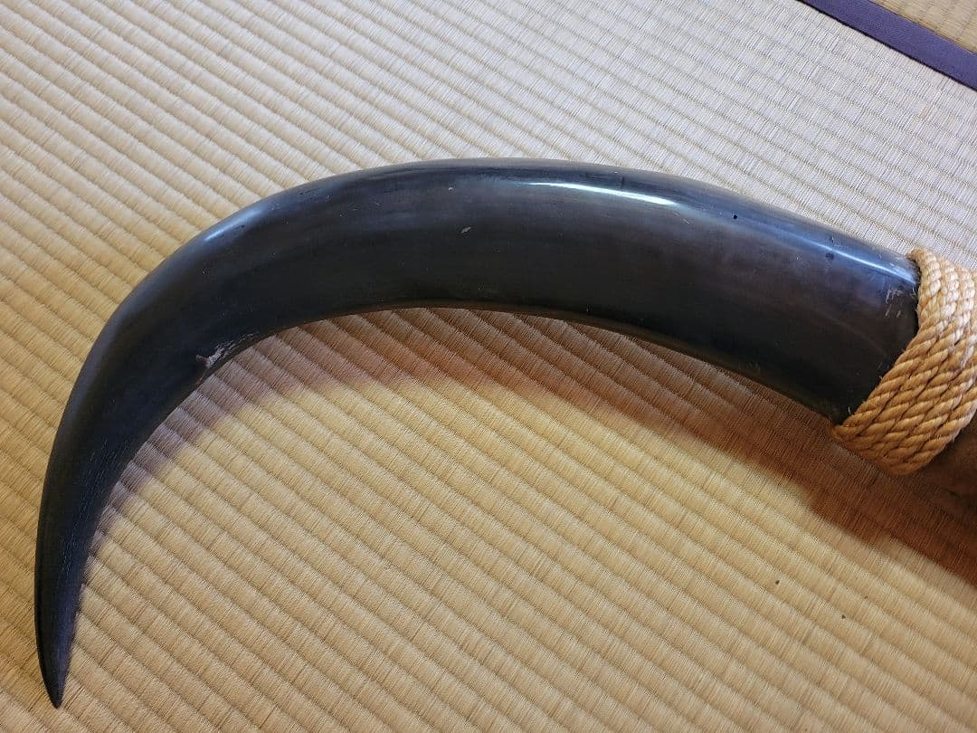 し*☆様 水牛の角　インテリア　186cm送料込み‼️