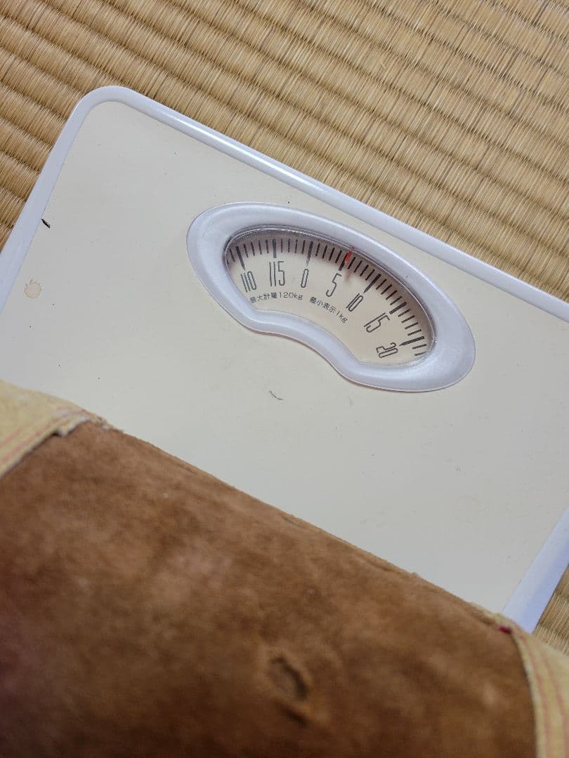 し*☆様 水牛の角　インテリア　186cm送料込み‼️