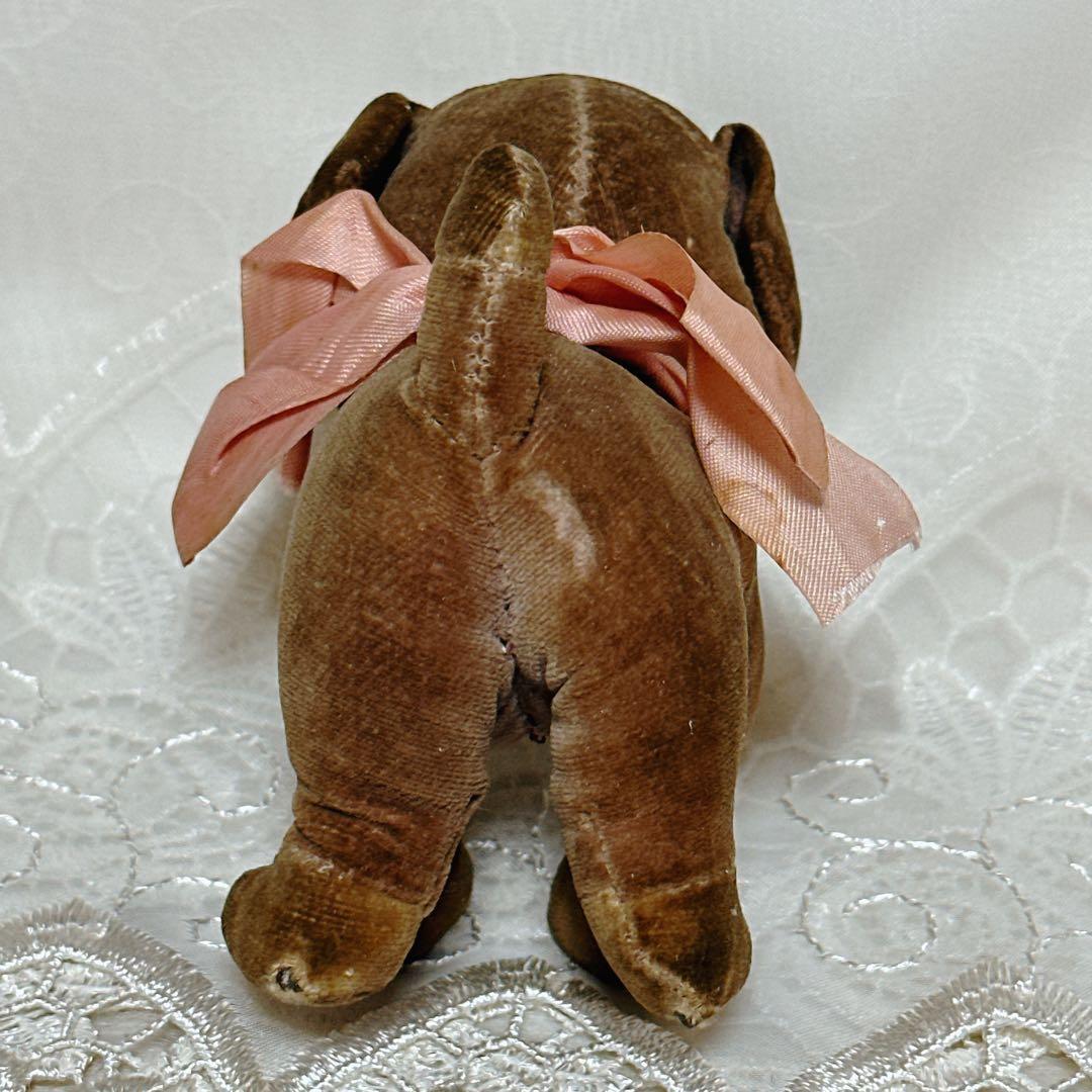 ❤️ファーネル❤️ディンキー　Farnell Dinkie Dog クオレプレストン