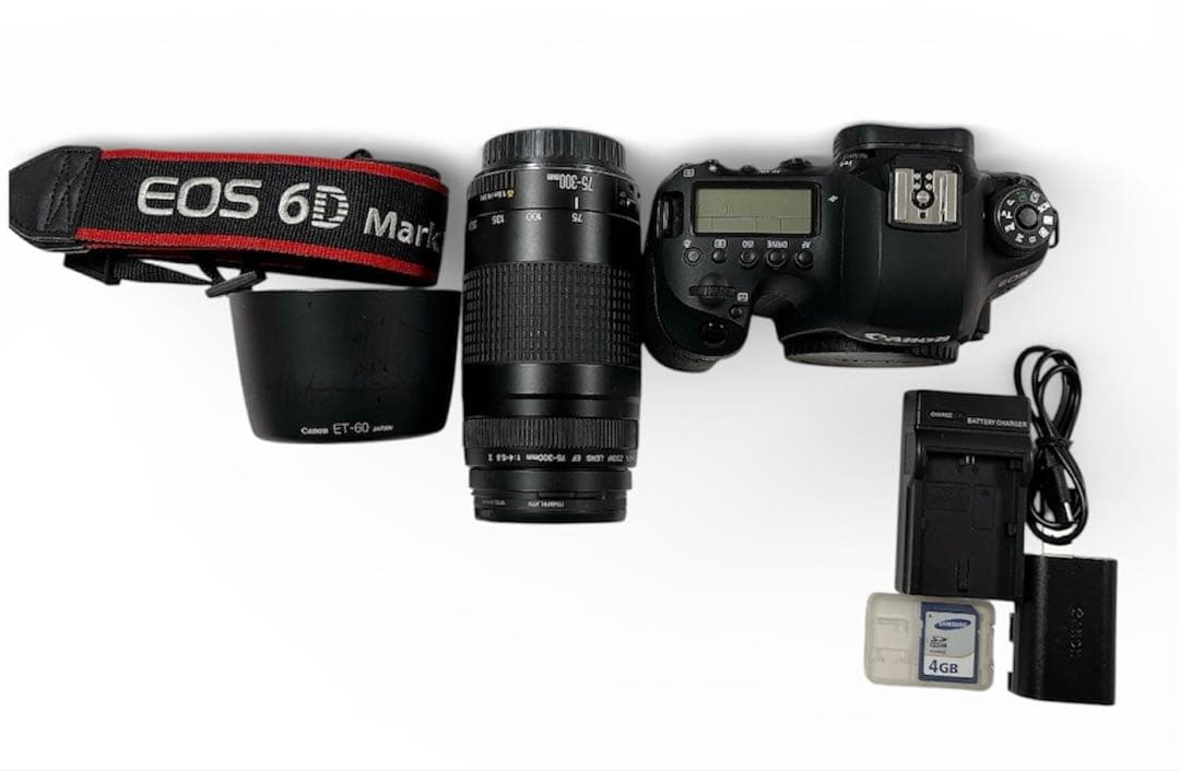 デジタルカメラ Canon EOS 6D Mark II / Canon EF75-300mm