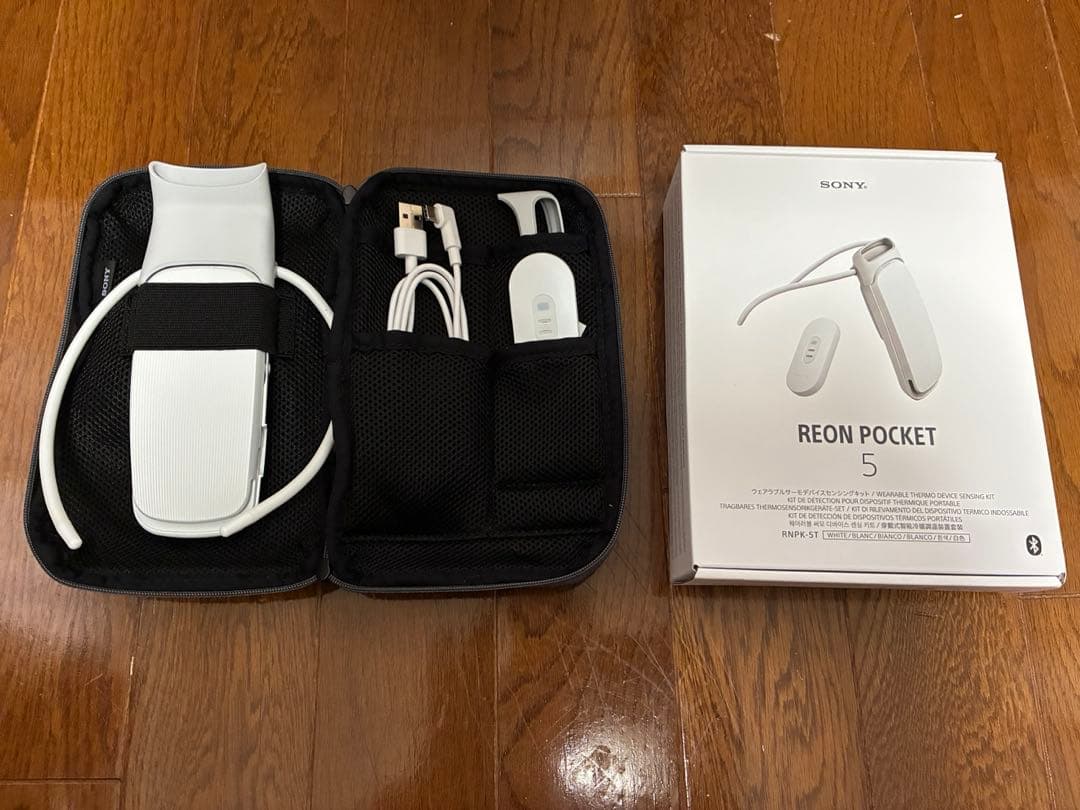 SONY REON POKET 5 ケース付き