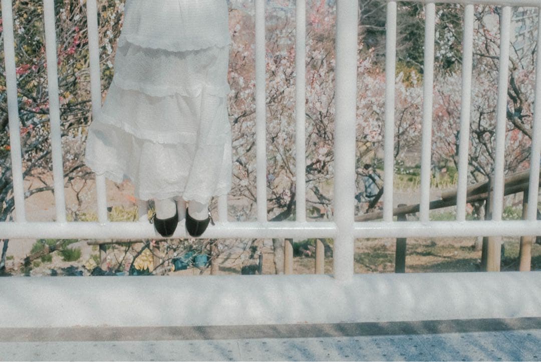 【早い者勝ち】Carl Zeiss Planar 1.4/50 ZE レンズ