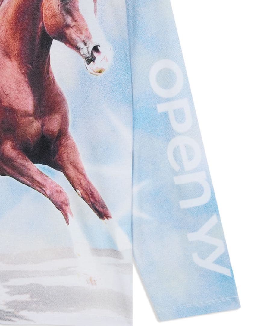 トップス OPENYY 2026 JEOKTOMA LONG SLEEVE, MULTI