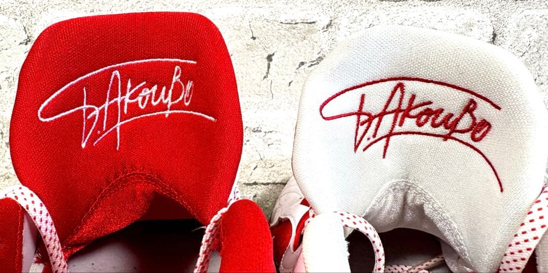 ◆限定・極美品◆Nike Zoom Freak 5 ASW EPバスケットボール