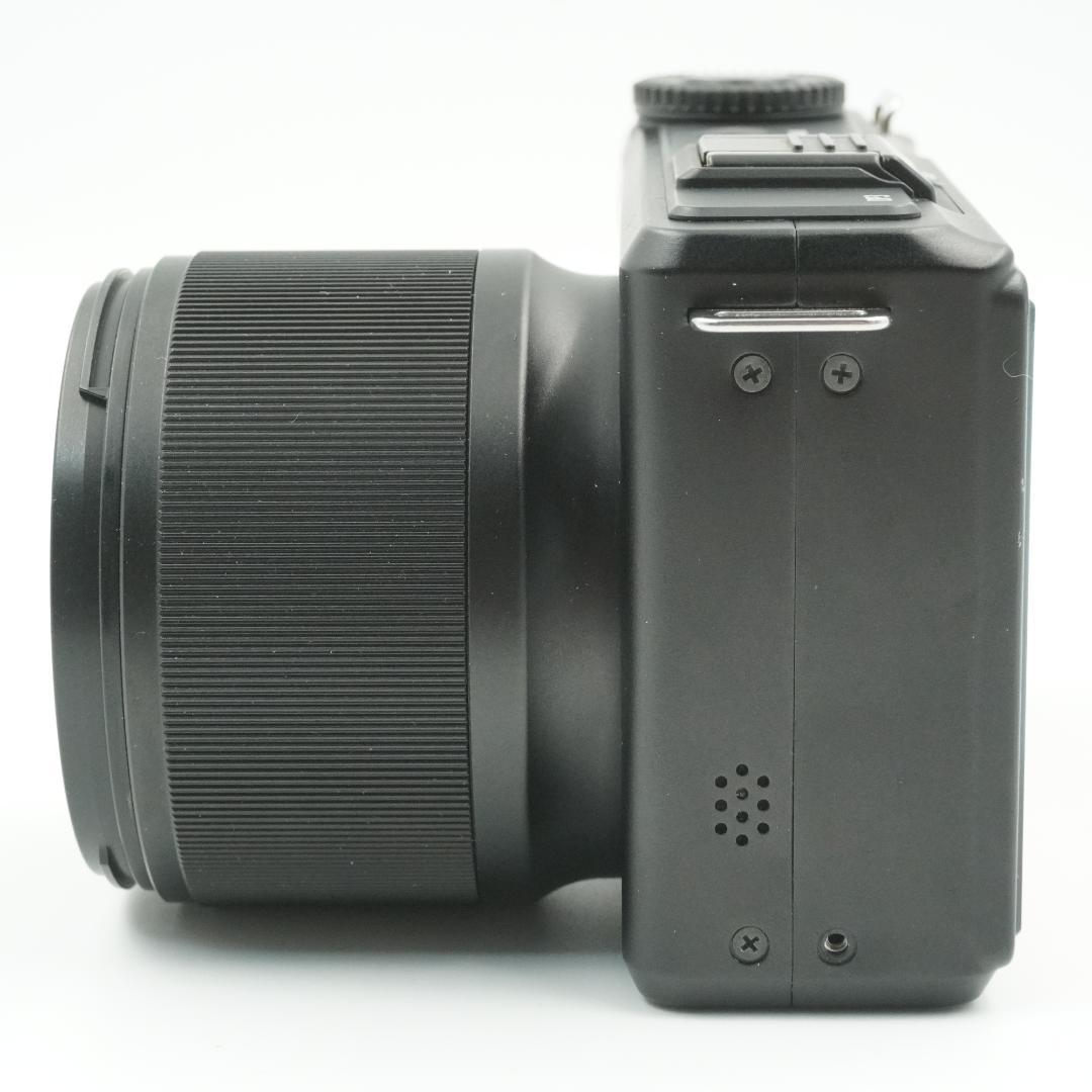 ■極上品■ SIGMA DP3 Merrill #324