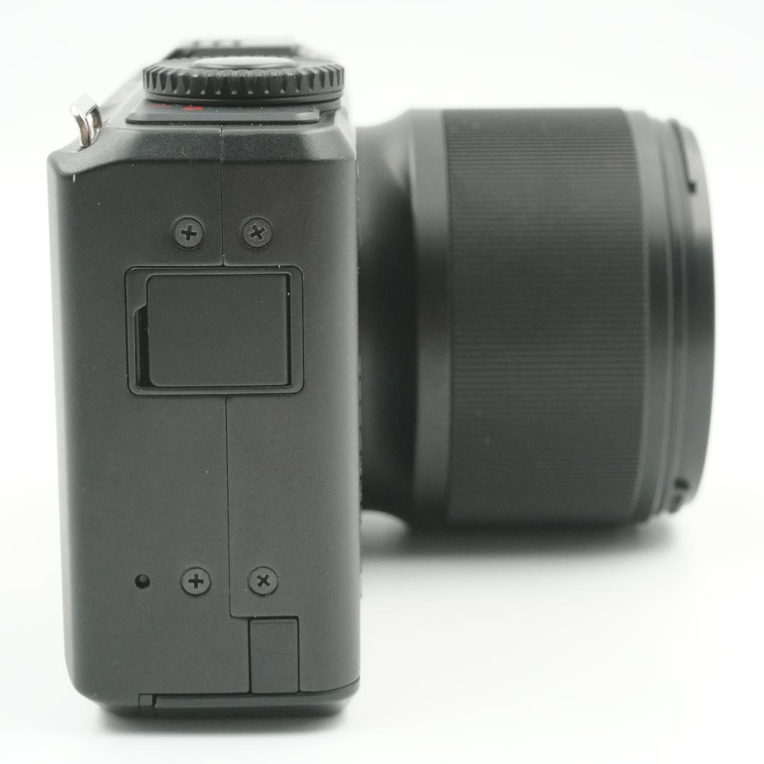 ■極上品■ SIGMA DP3 Merrill #324