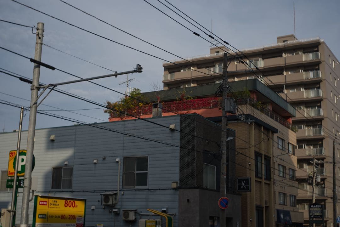 Leica ズマロン35mm f/3.5