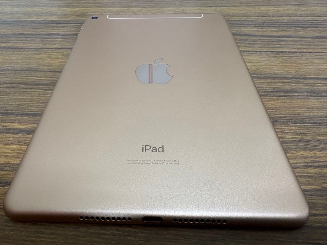 iPad mini 5 WI-FI＋セルラーモデル64GB ゴールド