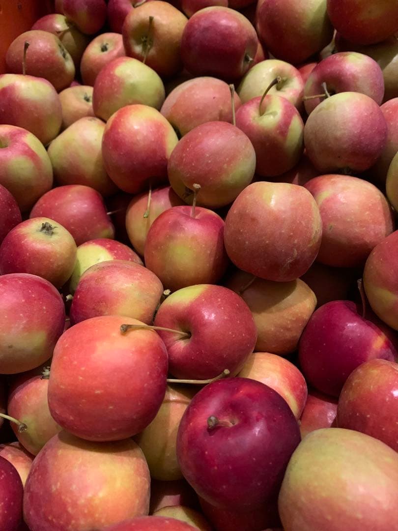 アルプス乙女 姫りんご 10kg 箱込み