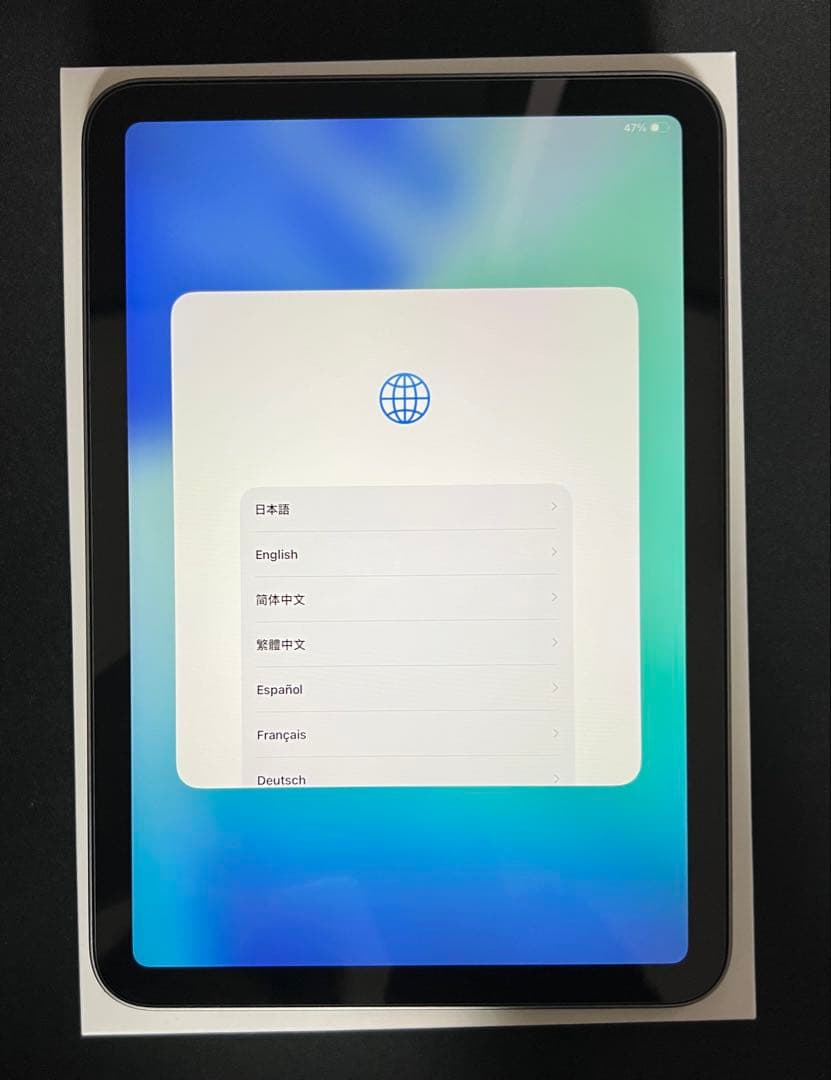 【BT100%】iPad mini (A17 pro) 128gb 本体