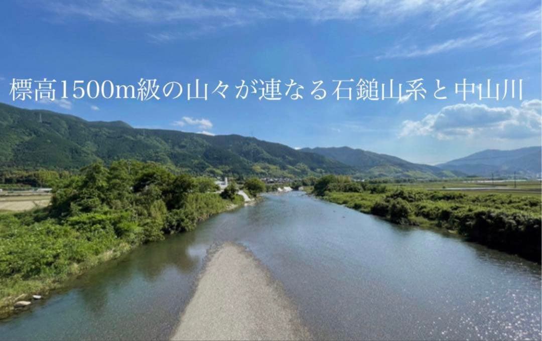 ♠︎リピーター様限定♠︎ 令和7年度新米　愛媛県産にこまる　天日干し米 10kg