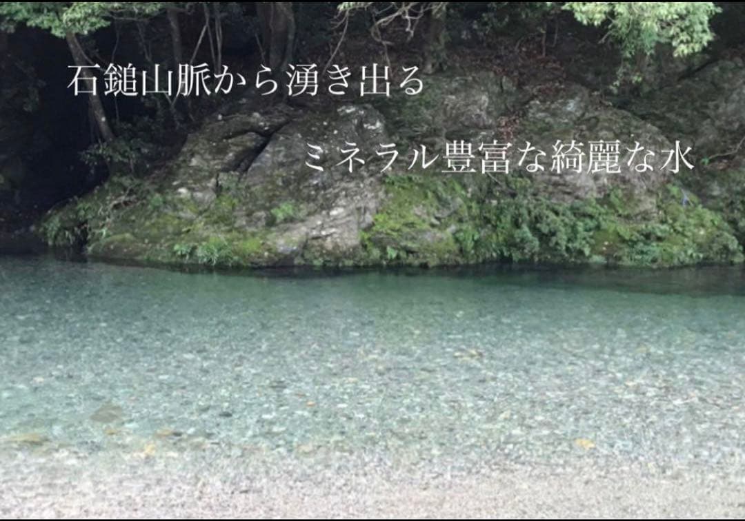 ♠︎リピーター様限定♠︎ 令和7年度新米　愛媛県産にこまる　天日干し米 10kg