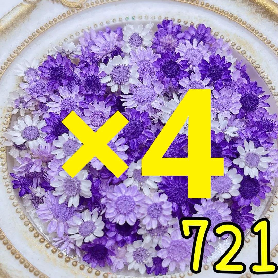 専用ページ✩.*˚