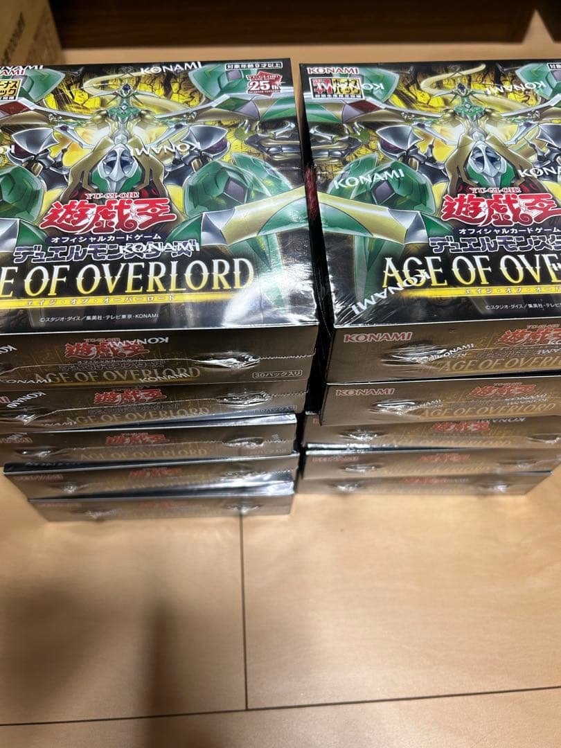 AGE OF OVERLORD 未開封ボックス 10