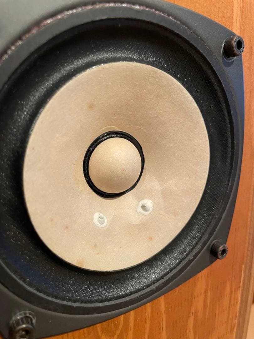 Fostex FE103En バックロードホーンスピーカー