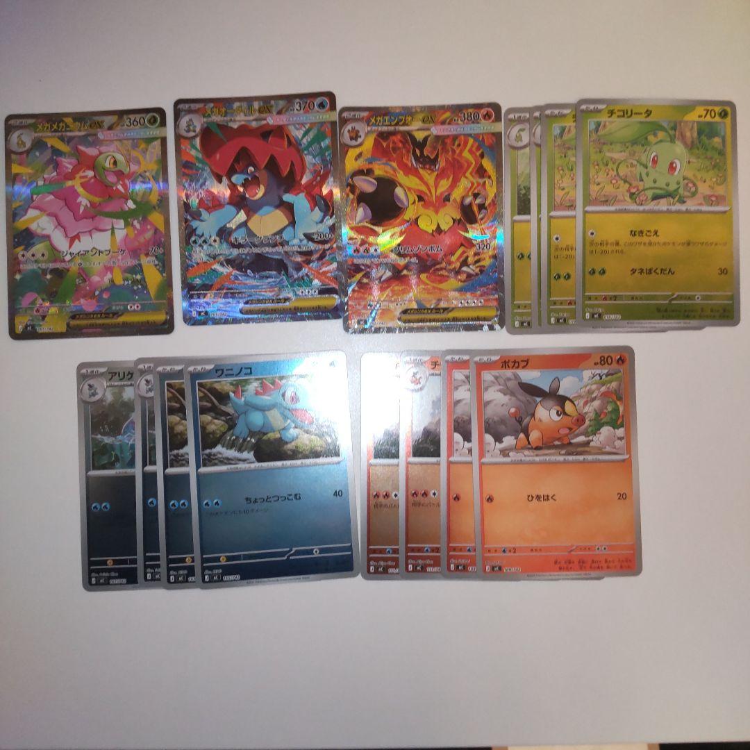 メガメガニウムex　メガオーダイルex　メガエンブオーex　SARセット