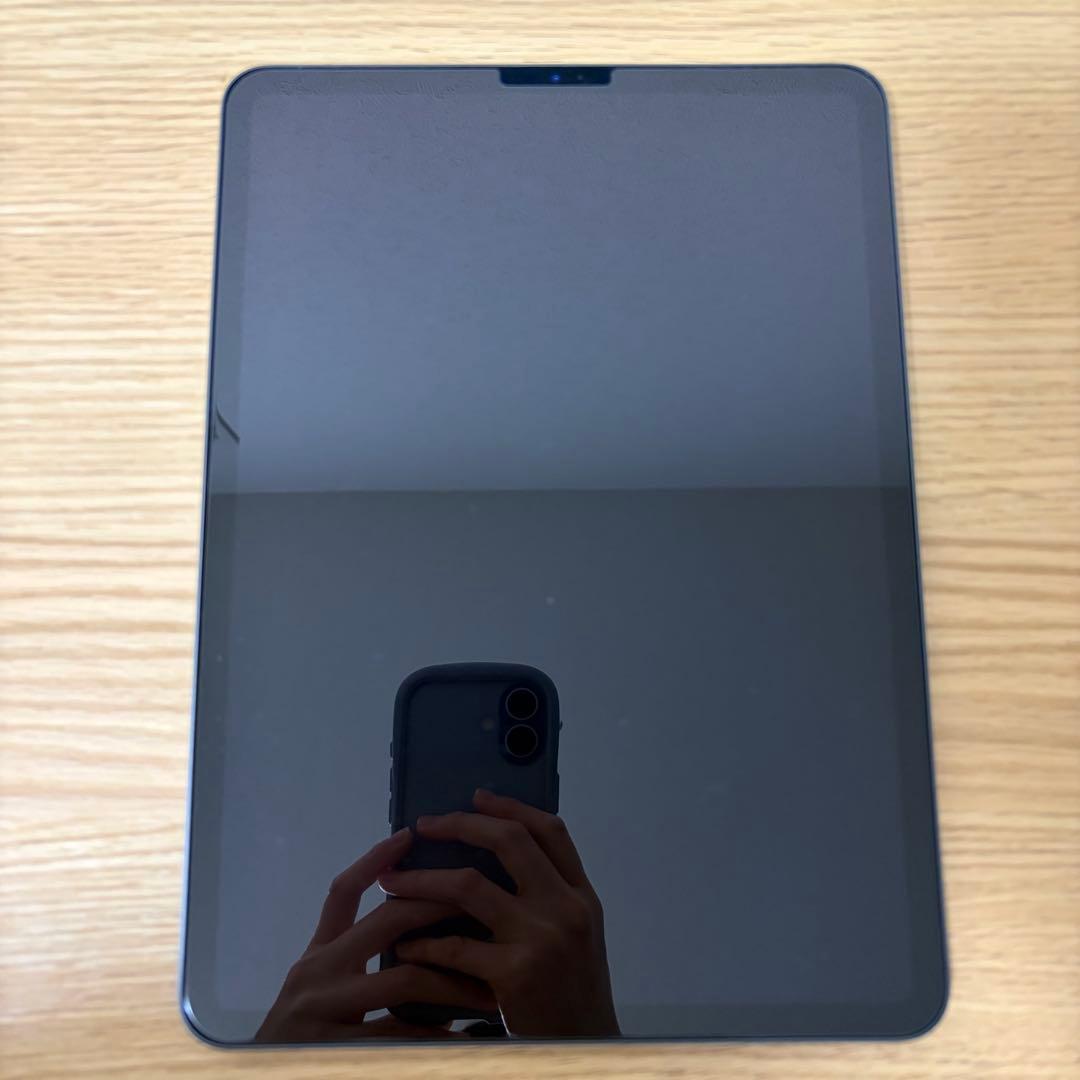 iPad Pro 11インチ 第1世代 256GB Wi-Fi スペースブラック