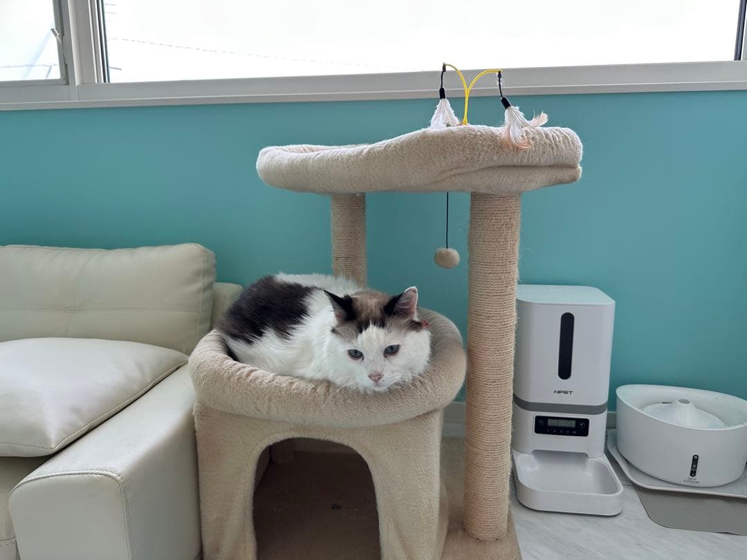 NISSAN フェアレディZ クラフトマガジンVol.16〜29、30〜39まで