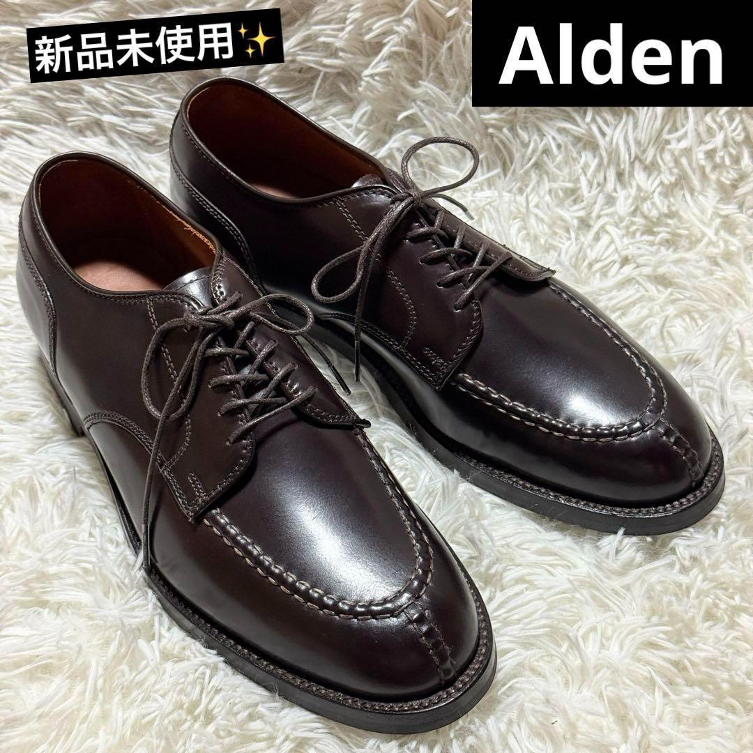 未使用✨オールデン　コードバン　ノルウィージャン　US7 1/2 茶　2450