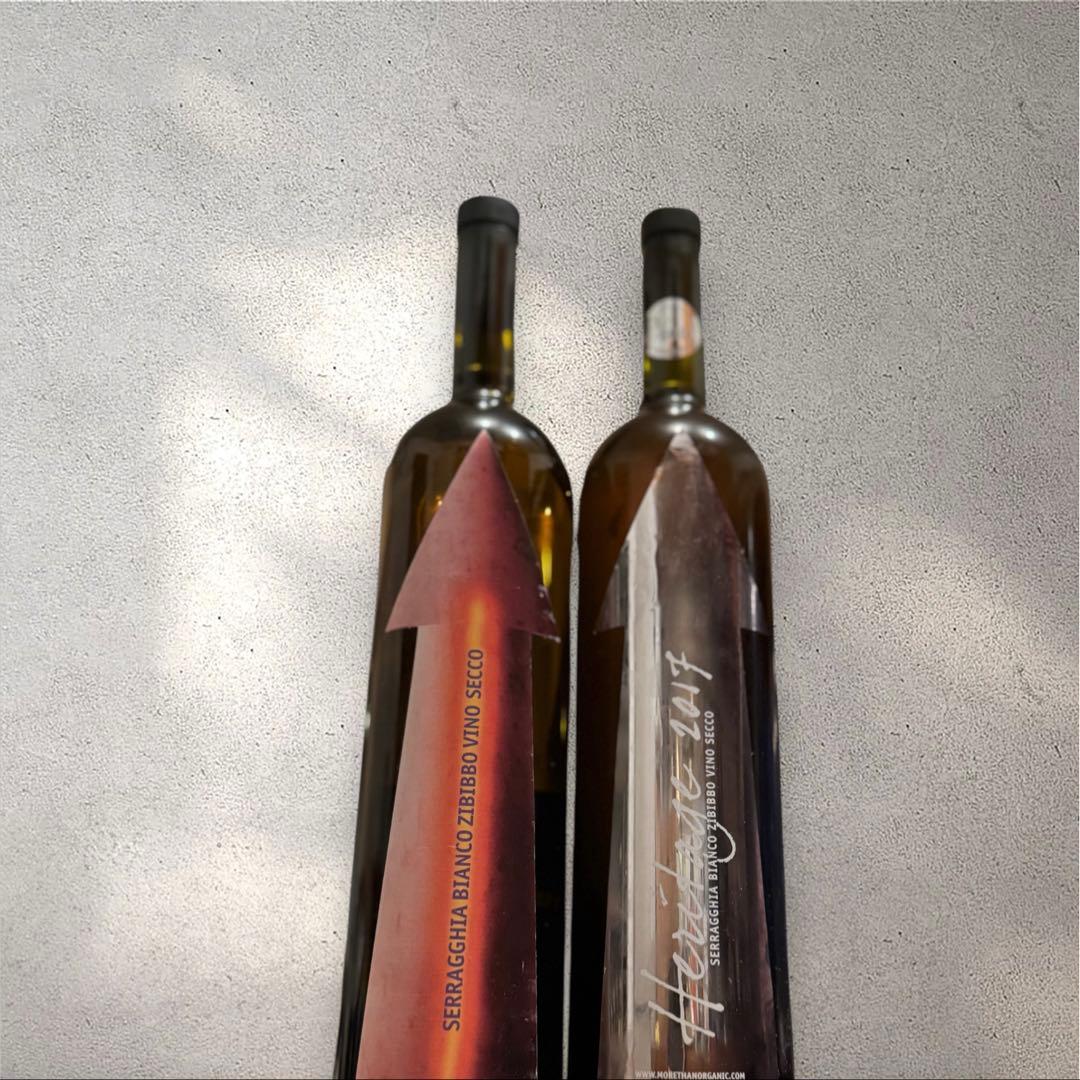 ジオットビーニ2本セット