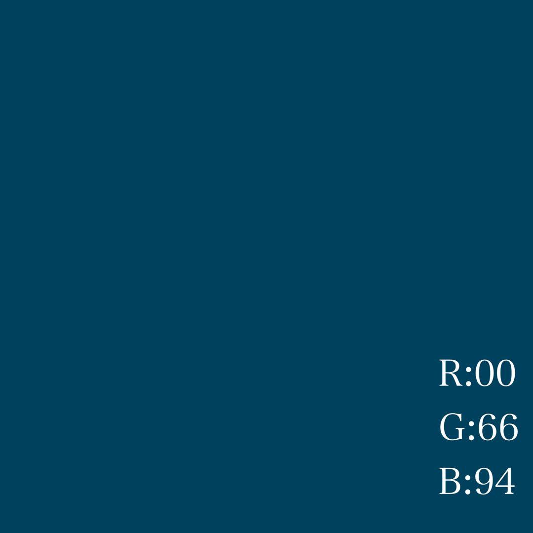 クラシカルリボンブラウス/sheglit