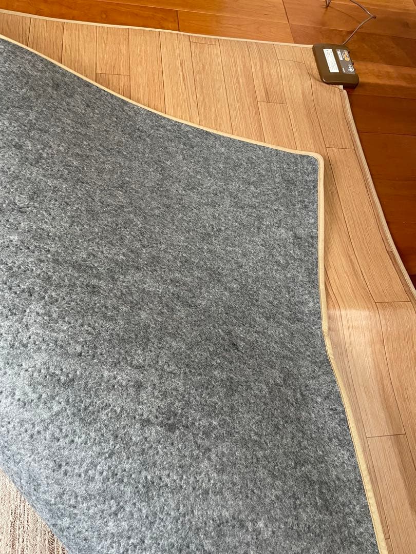 LIFEJOY フローリング 調　ホットカーペット 防水　2畳