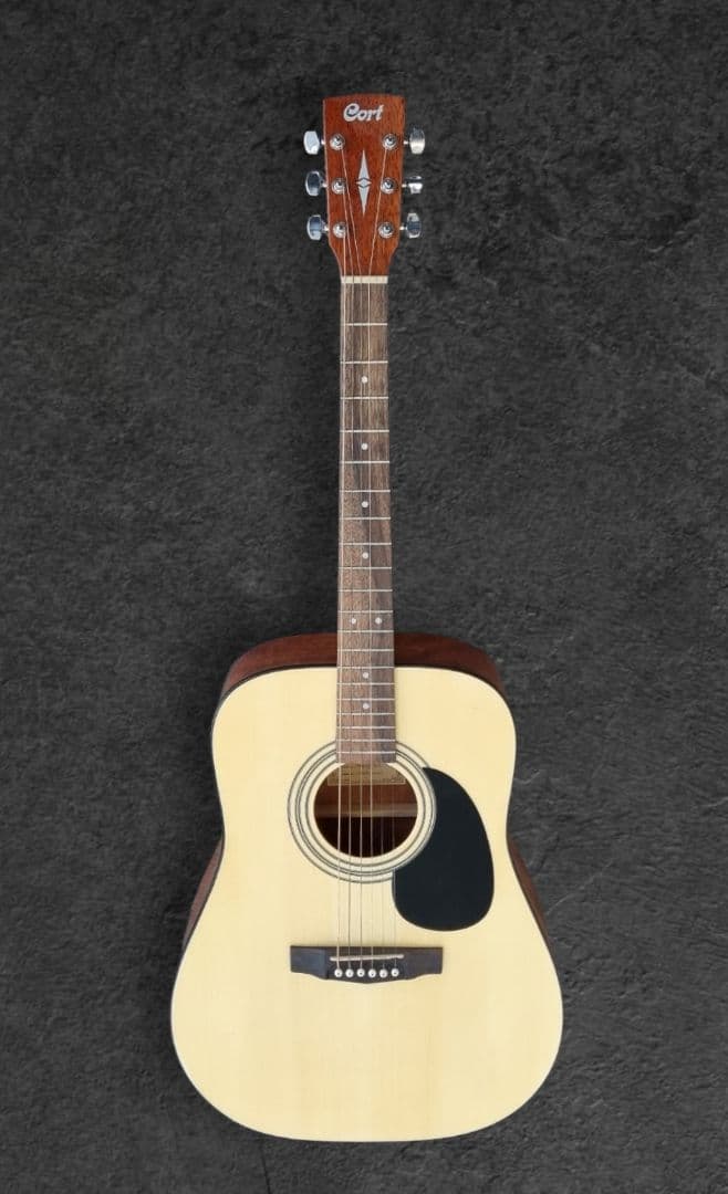 CORT CAG-1F / CAG-1D アコースティックギター Cort