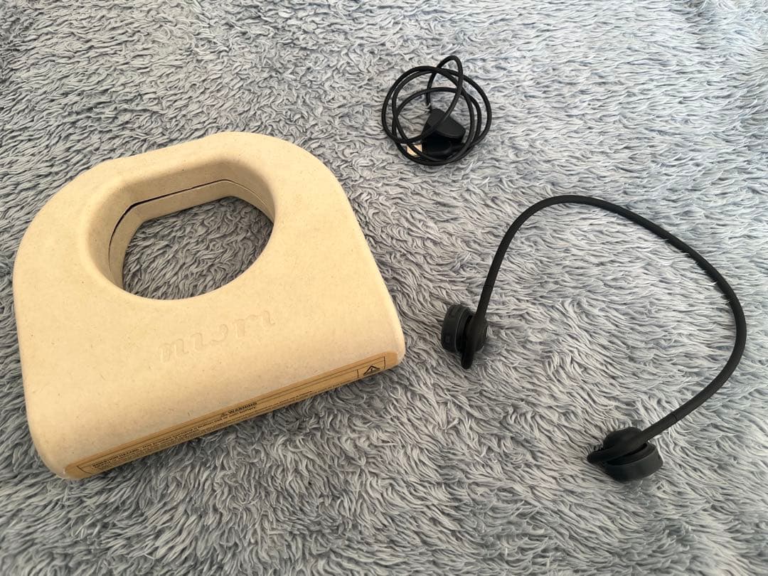 nwm GO イヤホン　フォグブラック