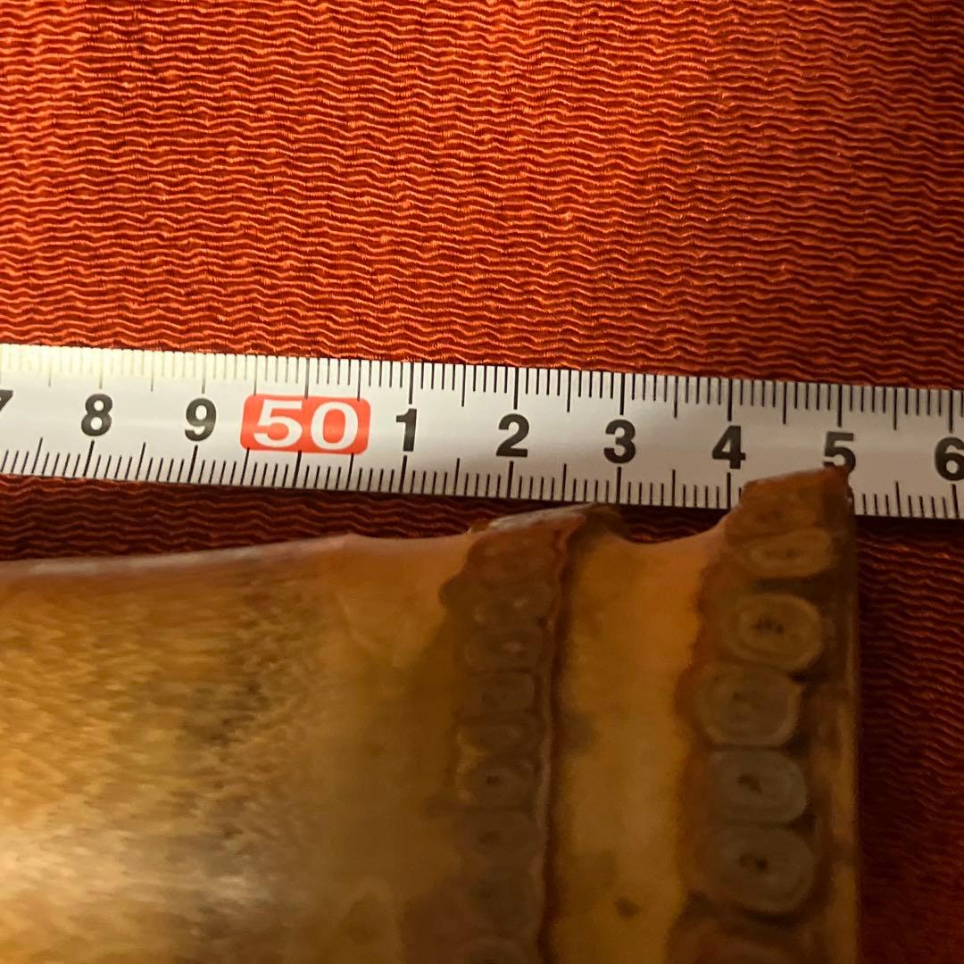 尺八本体 竹製 晏弘