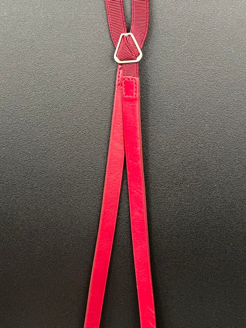 DIOR HOMME エディ期 サスペンダー