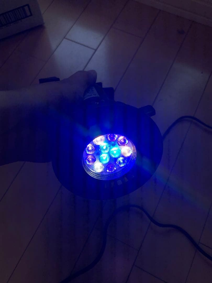 海水魚用品 GrassyLeDioRX121s RFB