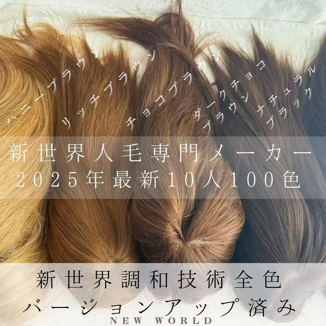 真2025新世界レミー100%ウィッグ　フルウィッグ　シルクスキン　医療ウィッグ