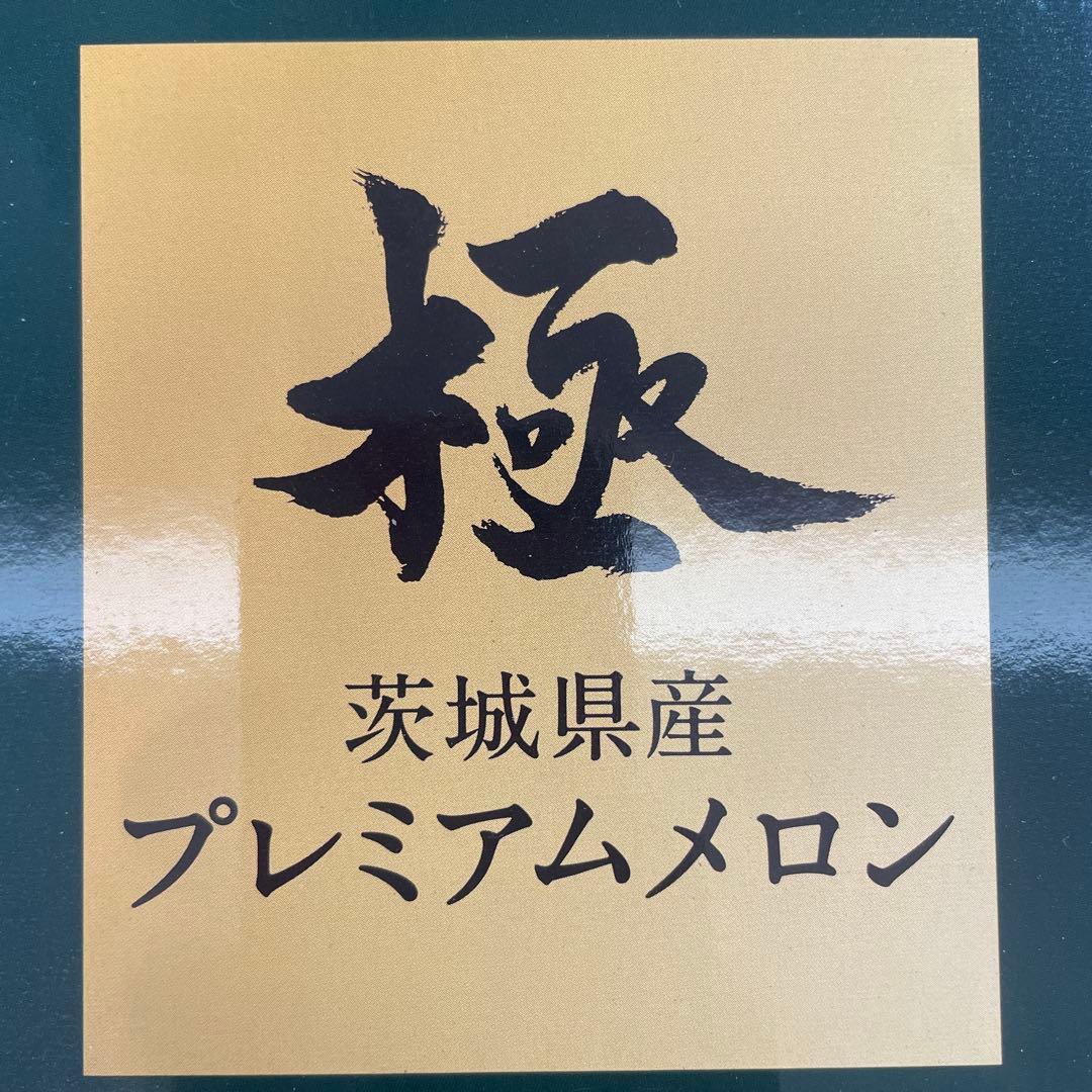 0291糖度18度以上！茨城県旭村産エルソルメロン極3Lサイズ1箱4玉入り