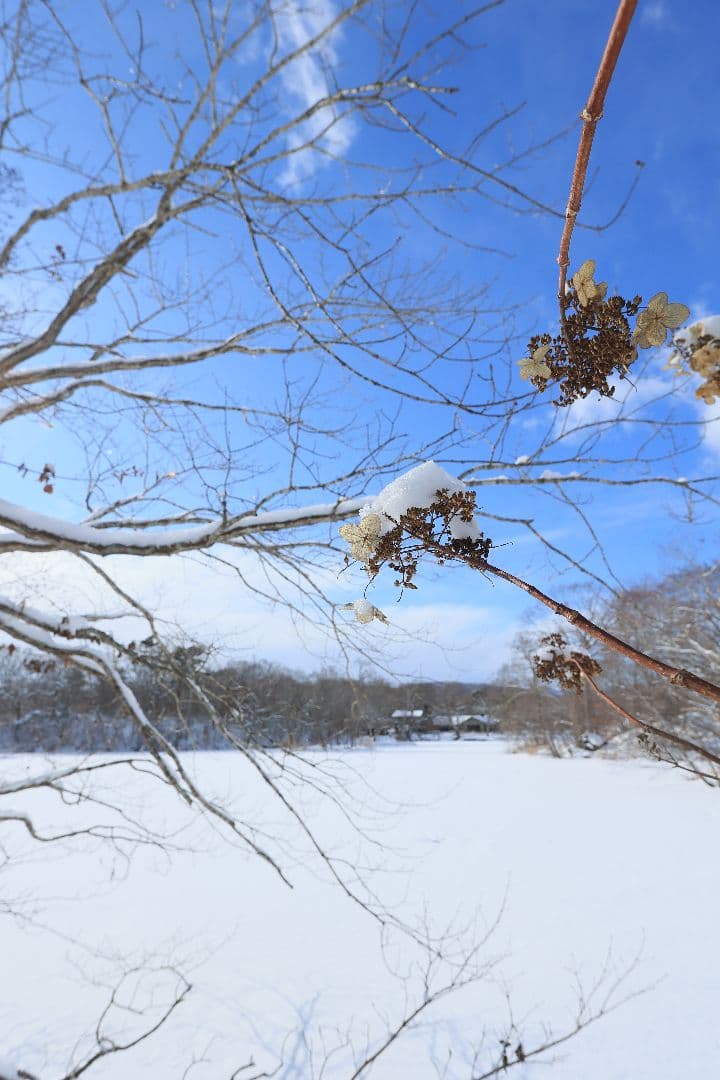 CANON EF 20mm F2.8 USM 【難あり】