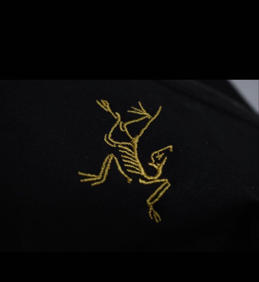 ARC'TERYX アークテリクス アロー ARRO バックパック