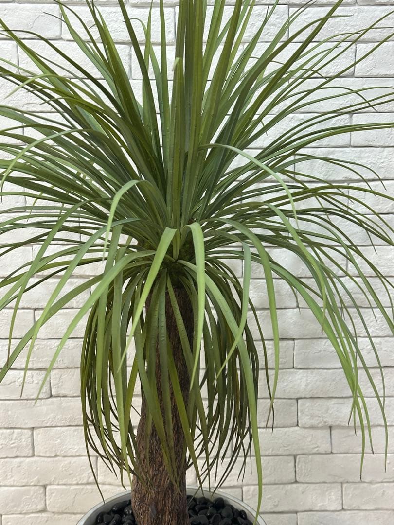 【東京23区配送無料】定価9万円　エミリオロバ　ユッカ　造花　観葉植物　高級　緑