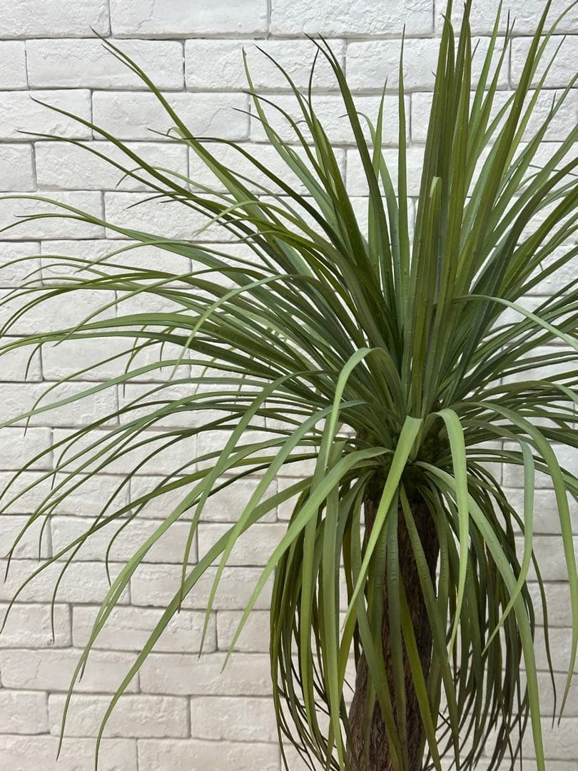 【東京23区配送無料】定価9万円　エミリオロバ　ユッカ　造花　観葉植物　高級　緑