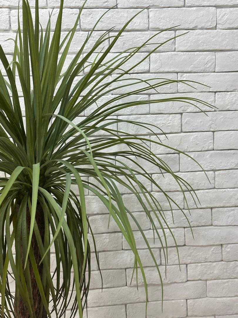 【東京23区配送無料】定価9万円　エミリオロバ　ユッカ　造花　観葉植物　高級　緑