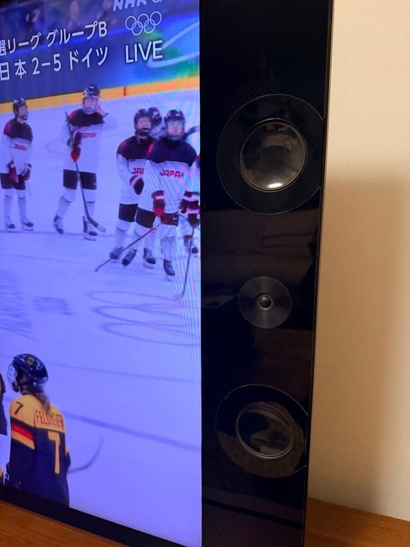 SONY BRAVIA ソニーブラビア4K対応　55型KD-55X9200A