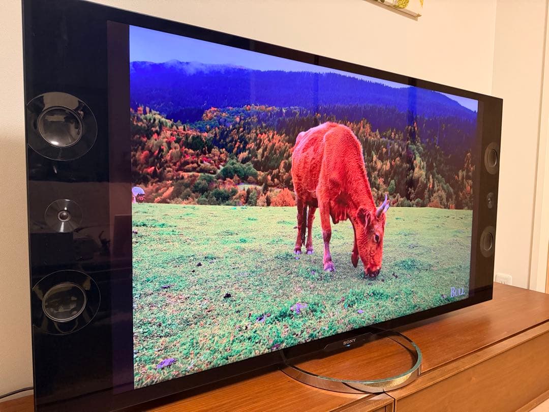 SONY BRAVIA ソニーブラビア4K対応　55型KD-55X9200A