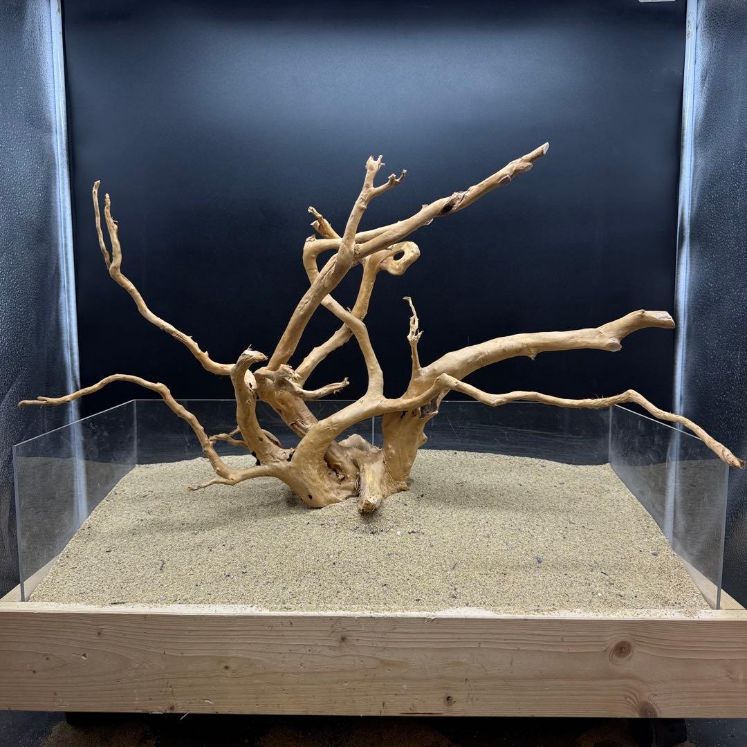 MDW-6991 特大ブランチウッド　流木　枝流木　アクアリウム